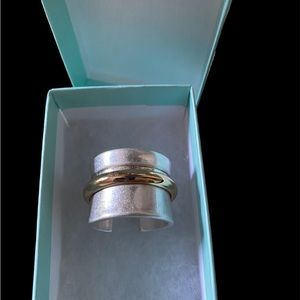 Park lane costal ring